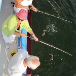 IMG_0508